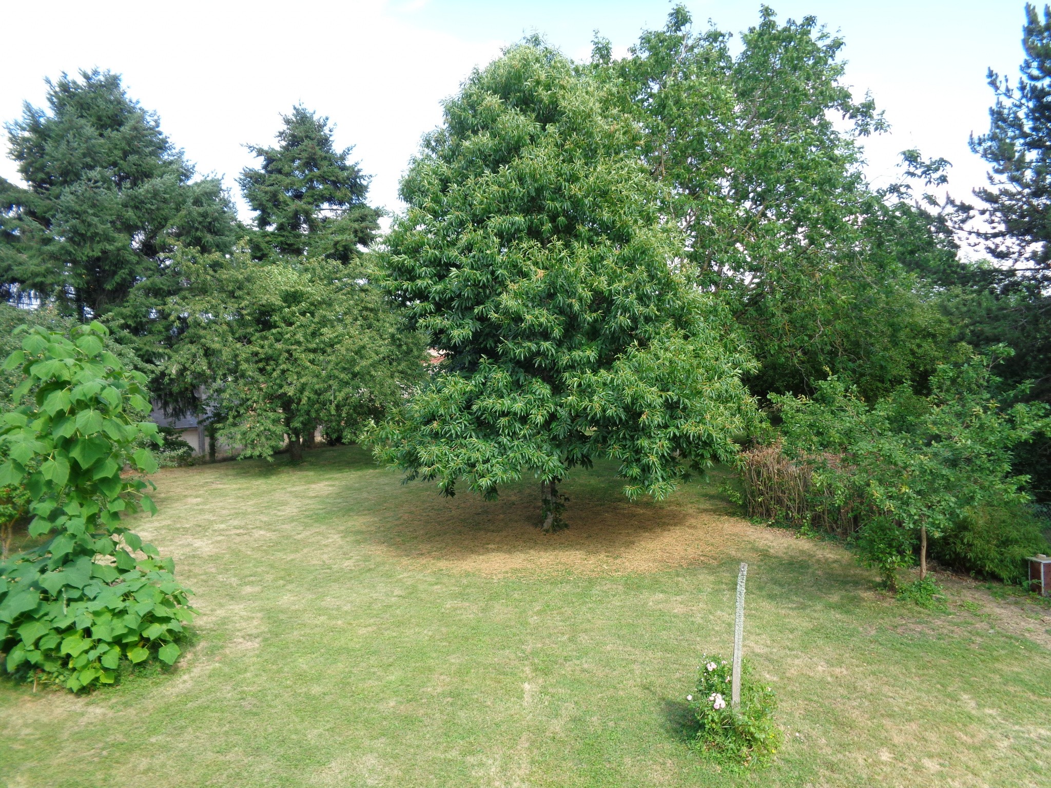 Vente Maison à Saint-Benin-des-Bois 8 pièces