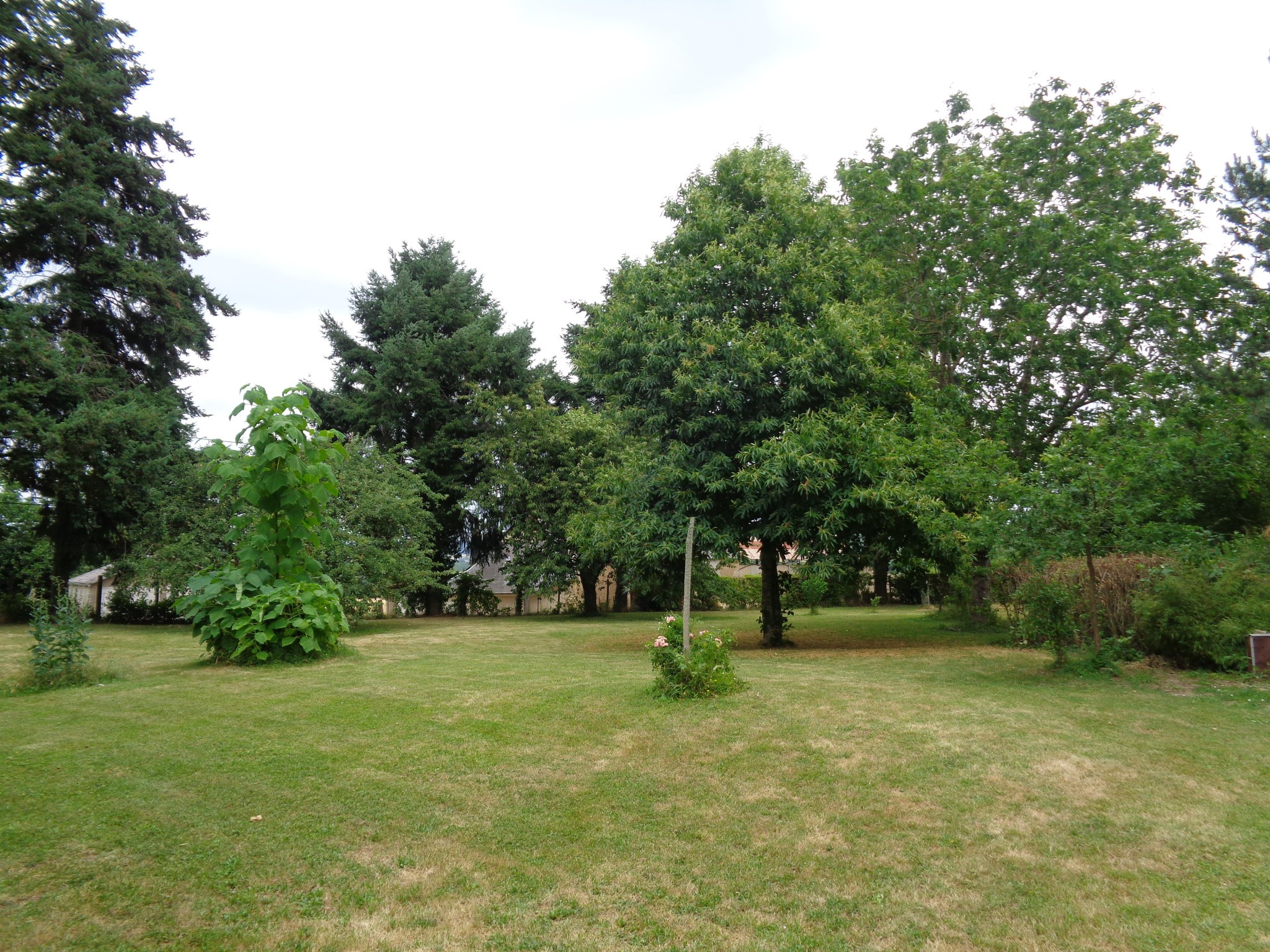 Vente Maison à Saint-Benin-des-Bois 8 pièces