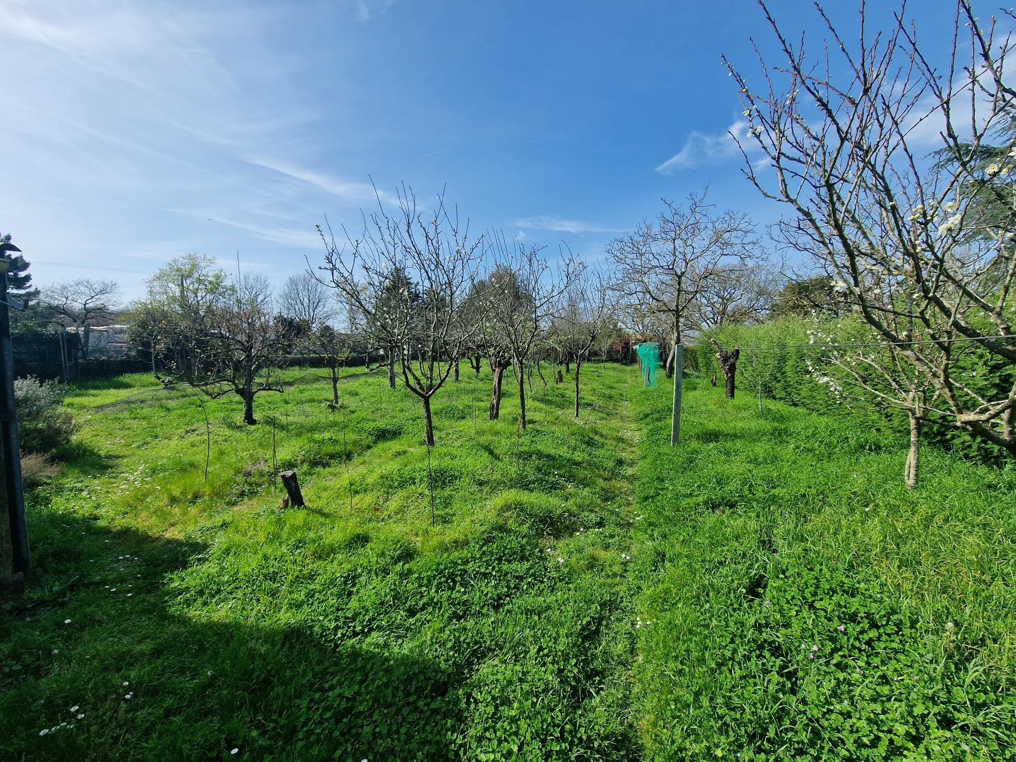 Vente Maison à Corcoué-sur-Logne 4 pièces