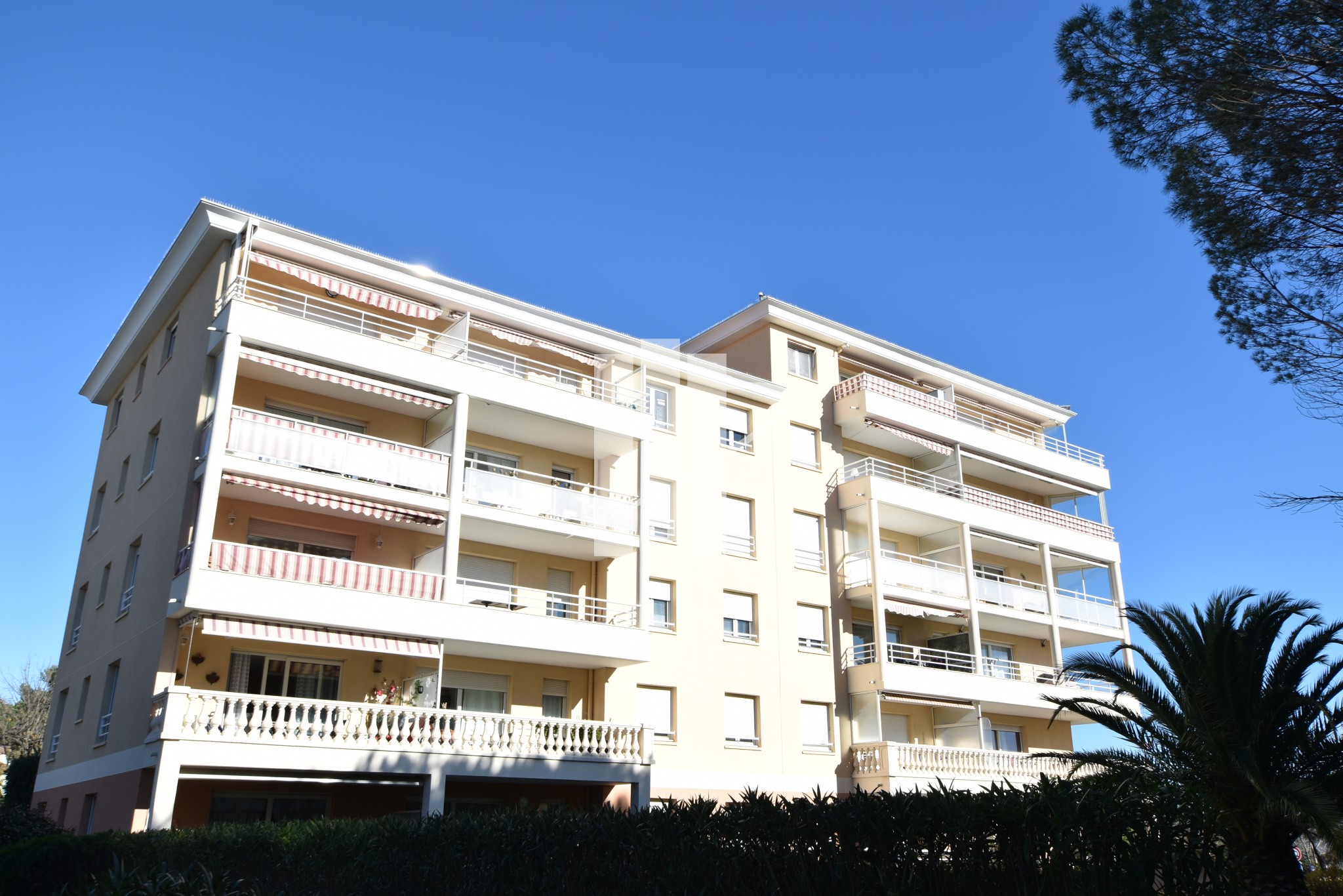 Vente Appartement à Fréjus 1 pièce