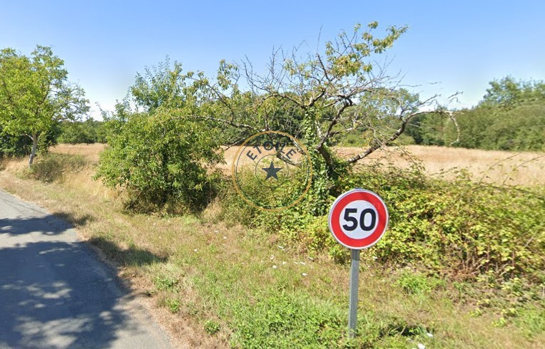 Vente Terrain à Juigné-sur-Loire 0 pièce