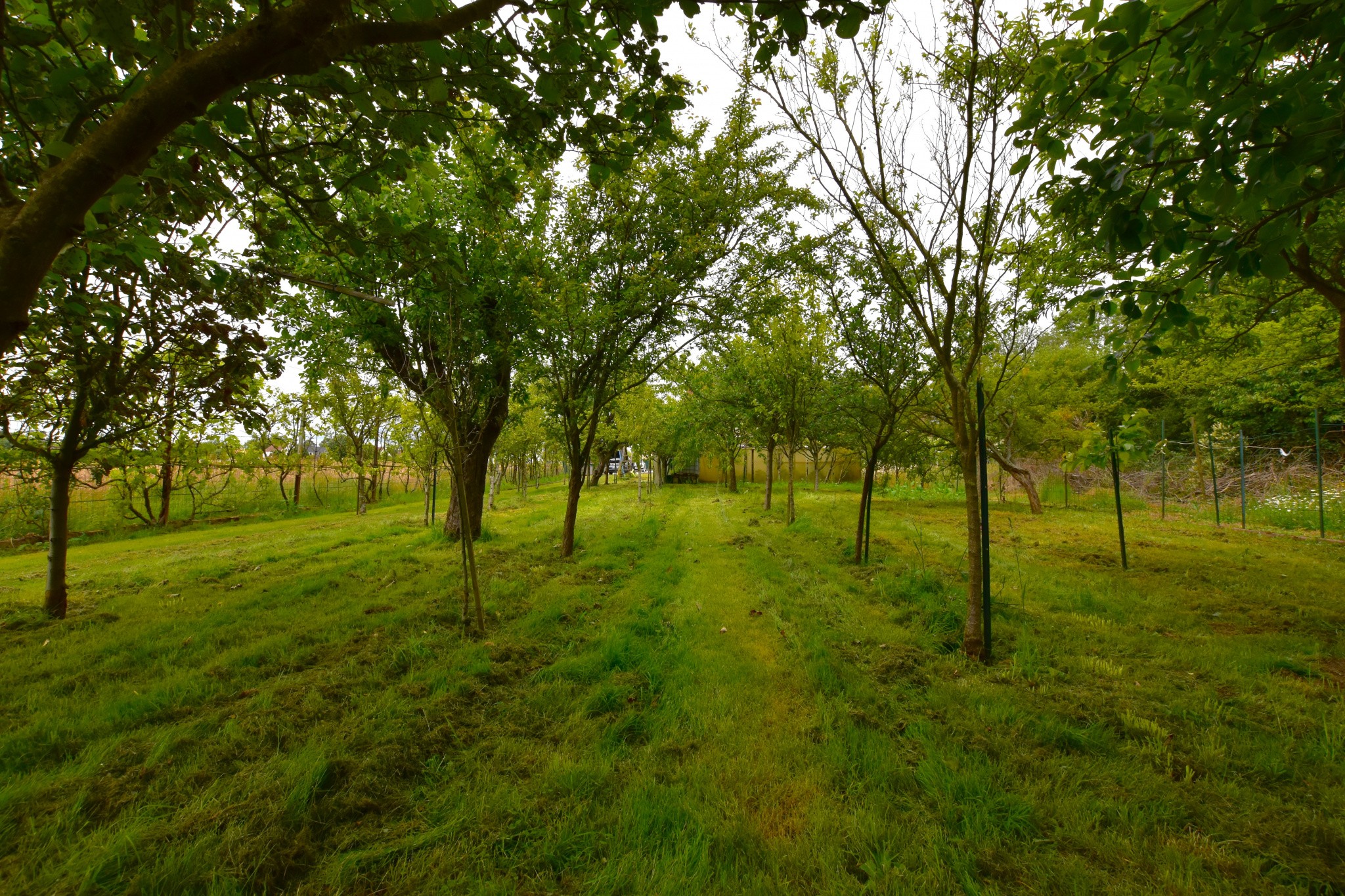 Vente Maison à le Perray-en-Yvelines 10 pièces