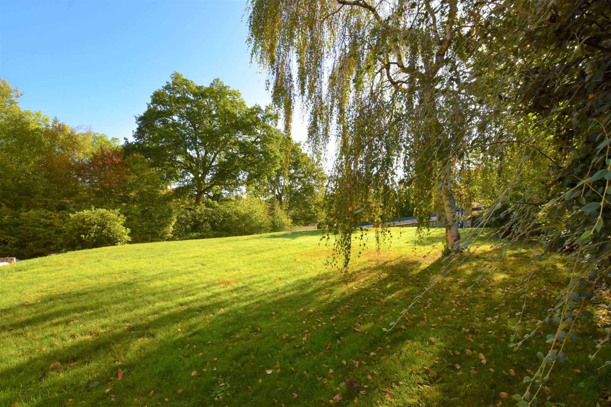 Vente Maison à les Essarts-le-Roi 7 pièces