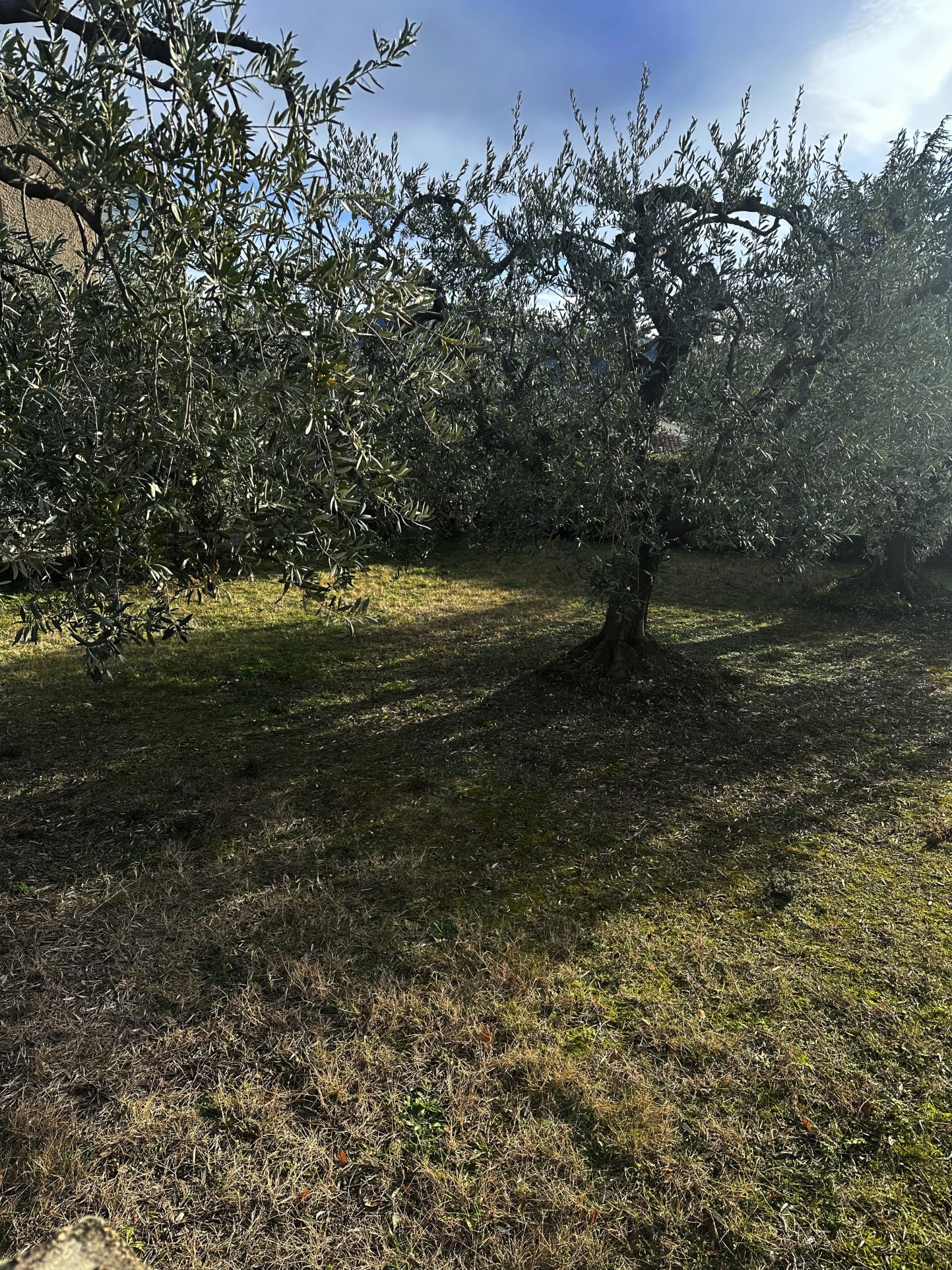 Vente Maison à Château-Arnoux-Saint-Auban 6 pièces