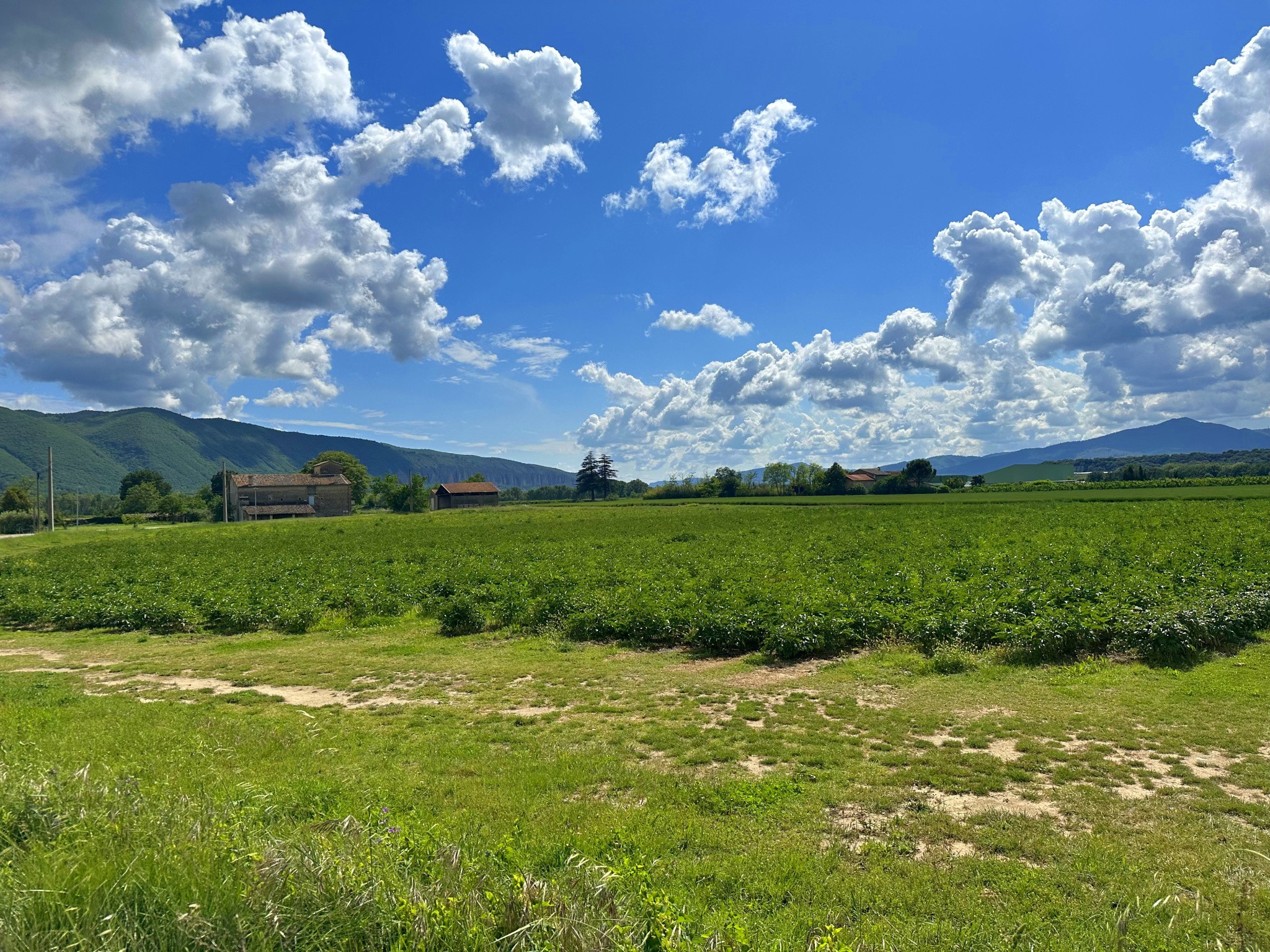 Vente Maison à l'Escale 3 pièces