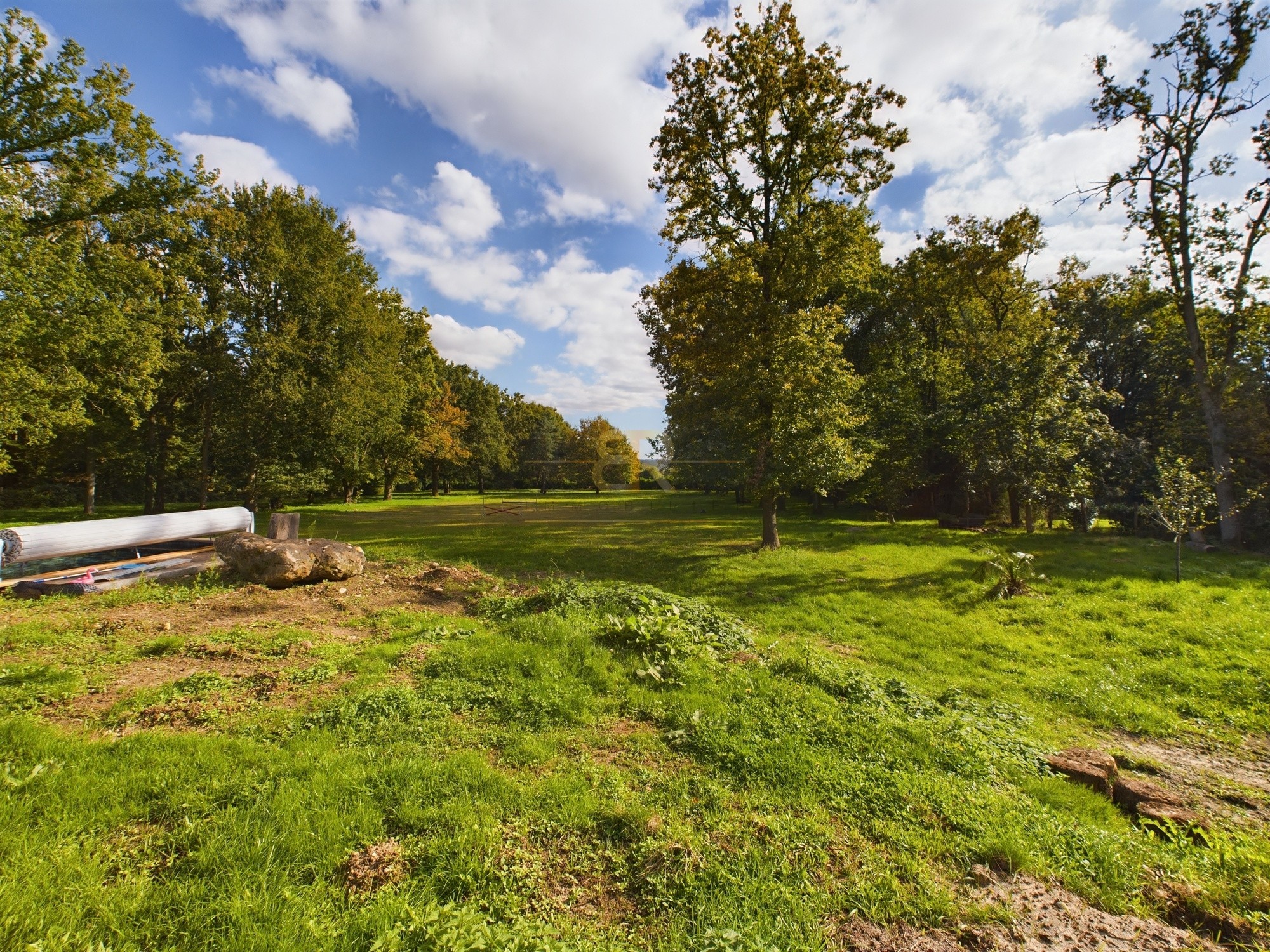 Vente Maison à Montigny-sur-Loing 10 pièces