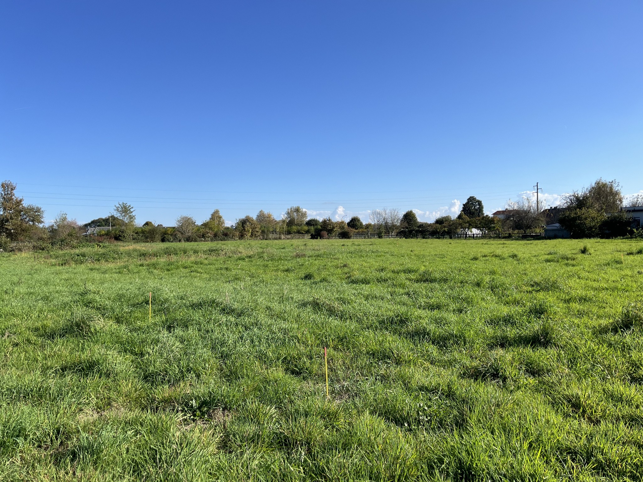 Vente Terrain à Bordères-sur-l'Échez 0 pièce