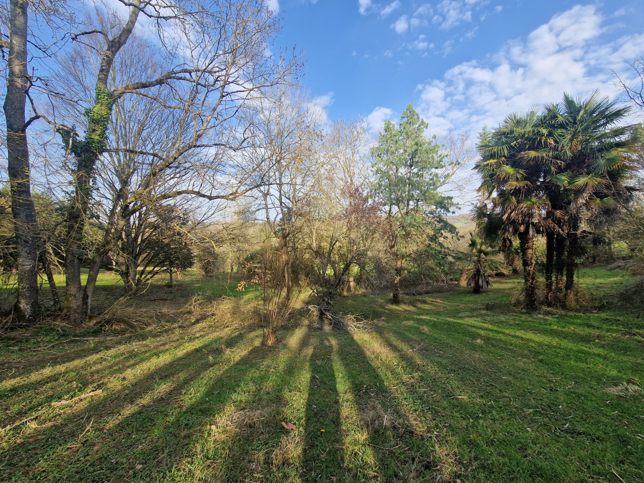 Vente Maison à Aire-sur-l'Adour 4 pièces