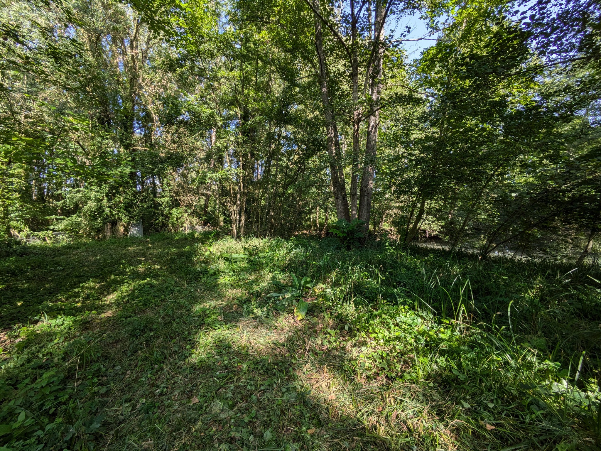 Vente Terrain à Ferrières-en-Gâtinais 0 pièce