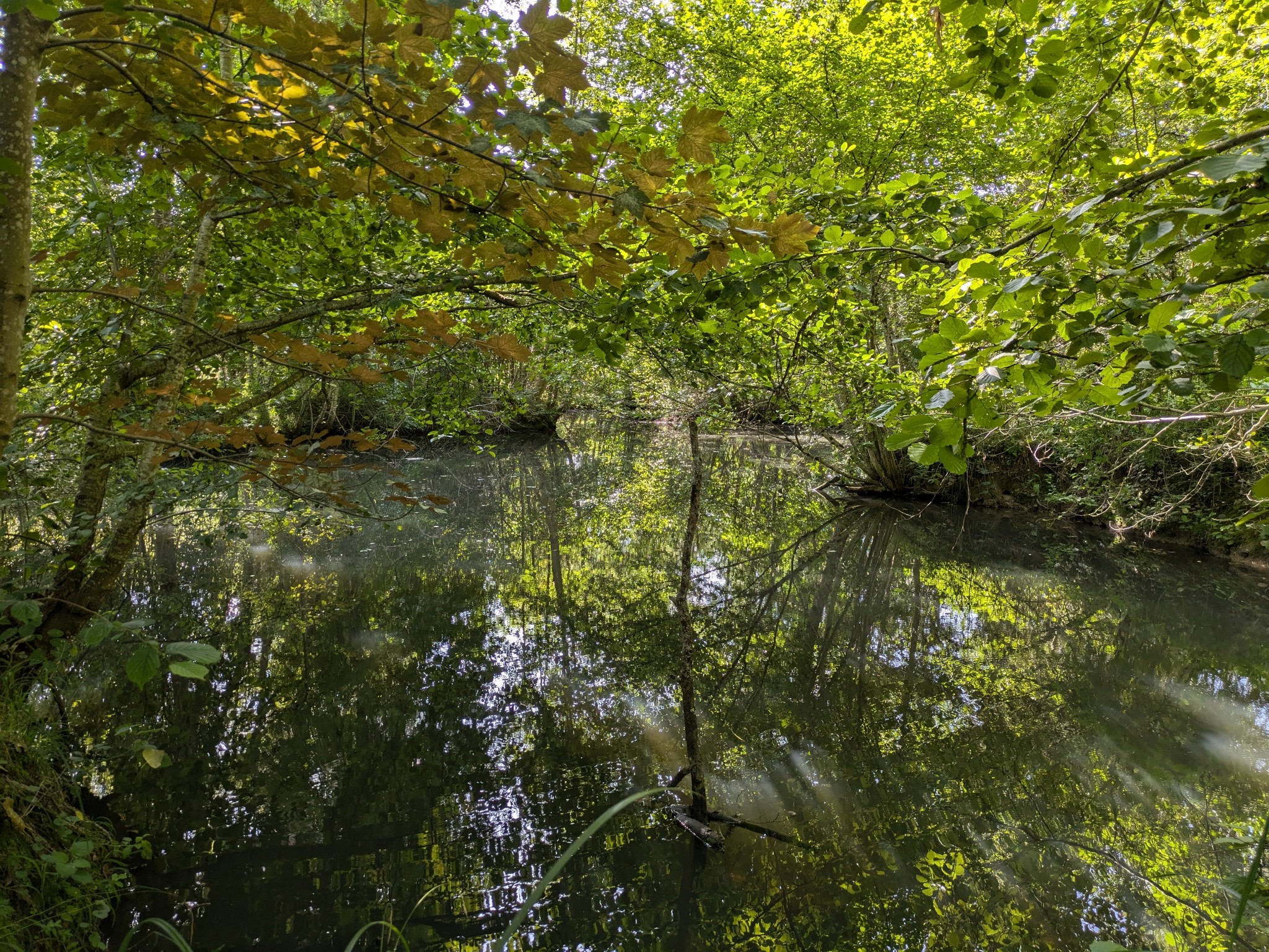 Vente Terrain à Ferrières-en-Gâtinais 0 pièce