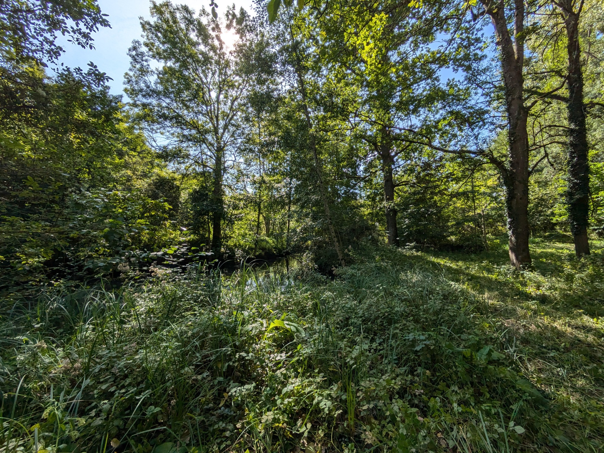 Vente Terrain à Ferrières-en-Gâtinais 0 pièce