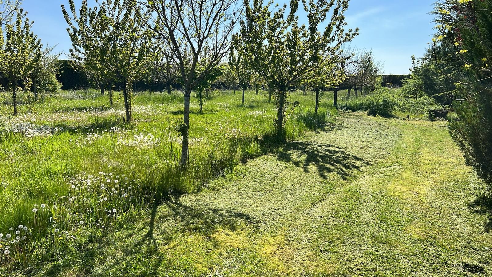 Vente Maison à Sainte-Maure 10 pièces