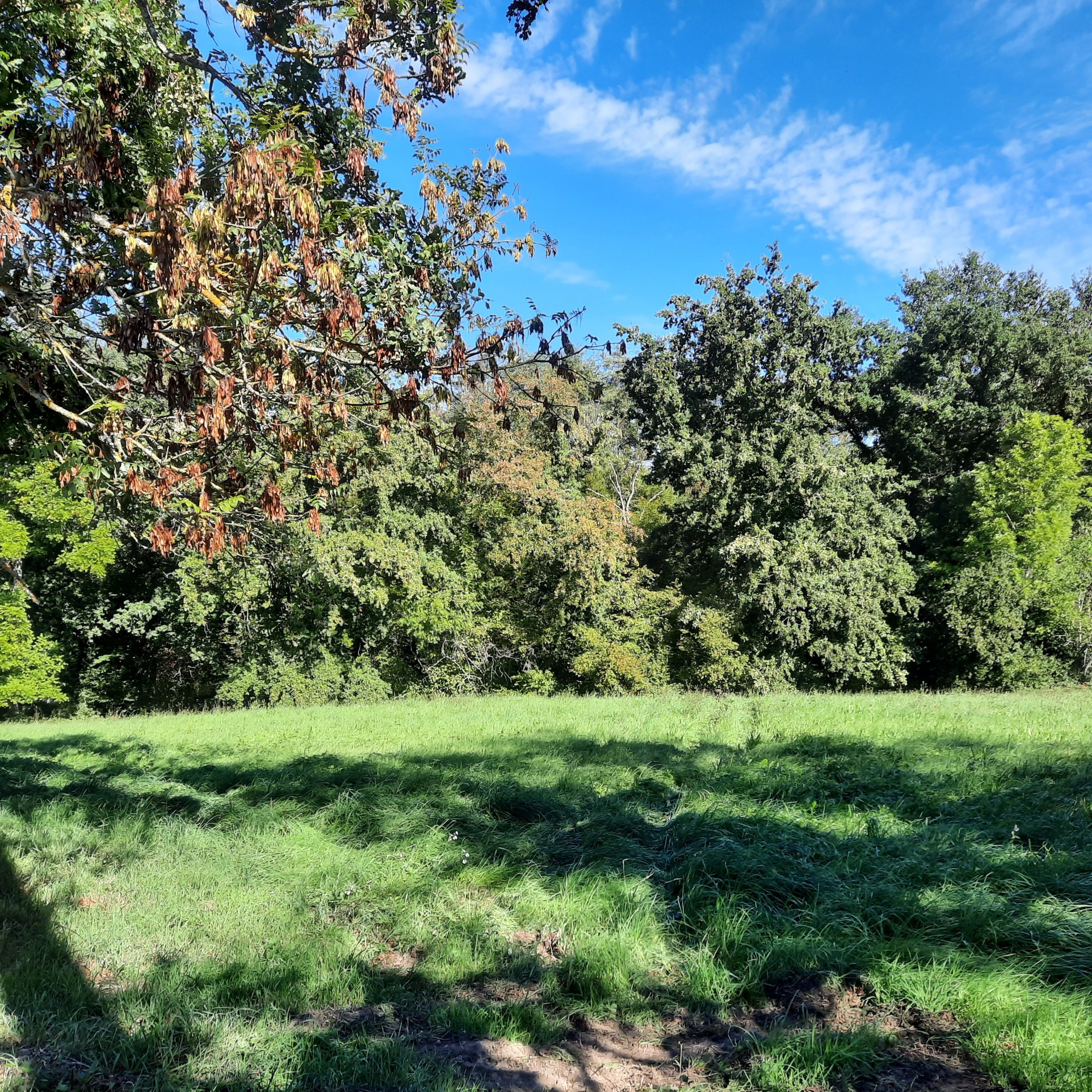 Vente Terrain à Escoutoux 0 pièce