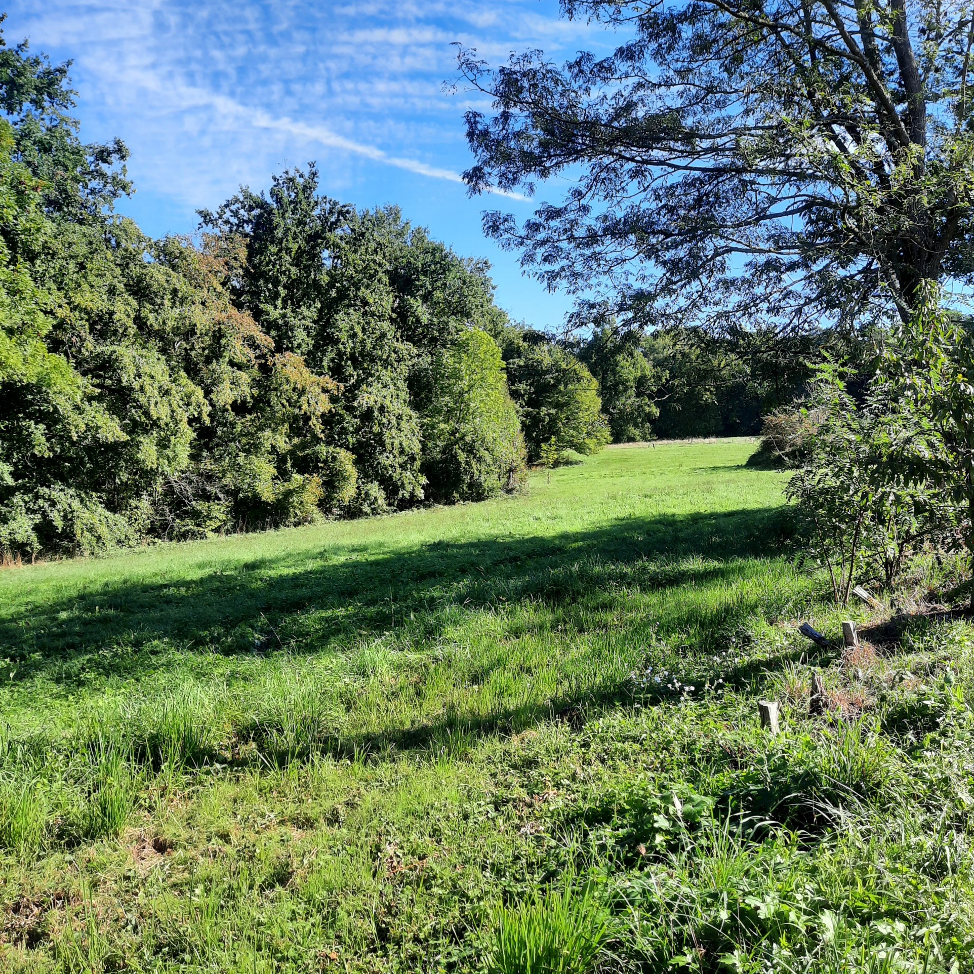 Vente Terrain à Escoutoux 0 pièce