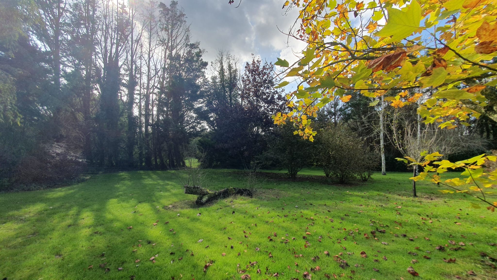 Vente Maison à Civrac-de-Blaye 12 pièces