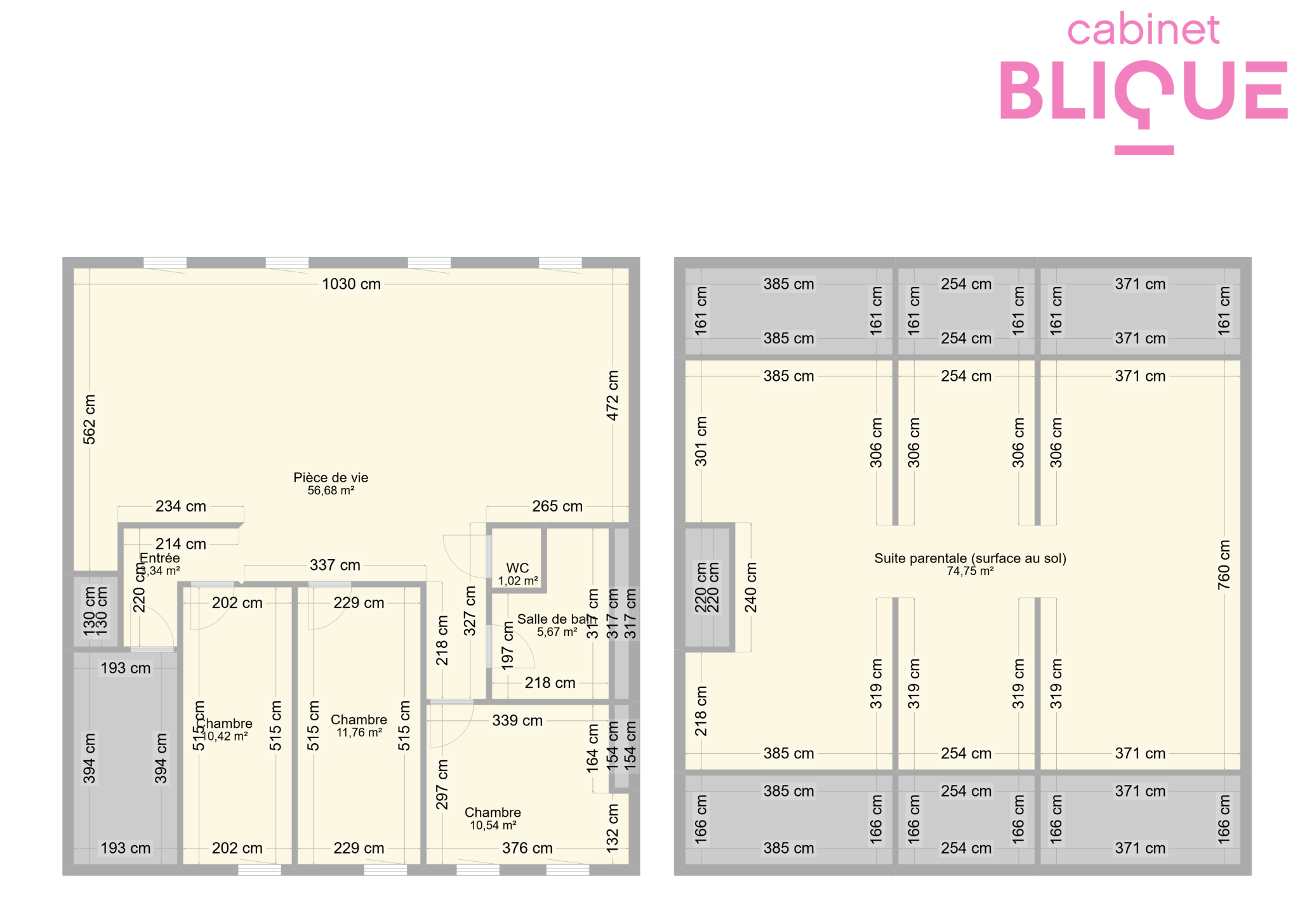 Vente Appartement à Nancy 6 pièces