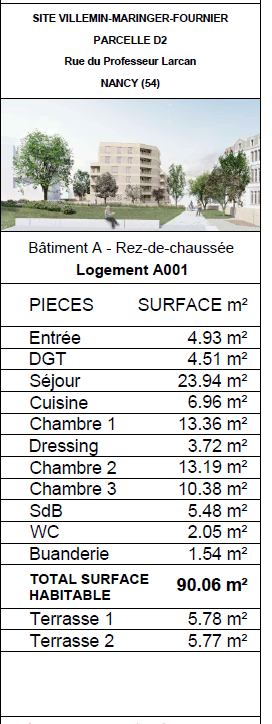 Vente Appartement à Nancy 4 pièces