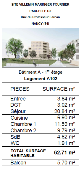 Vente Appartement à Nancy 3 pièces