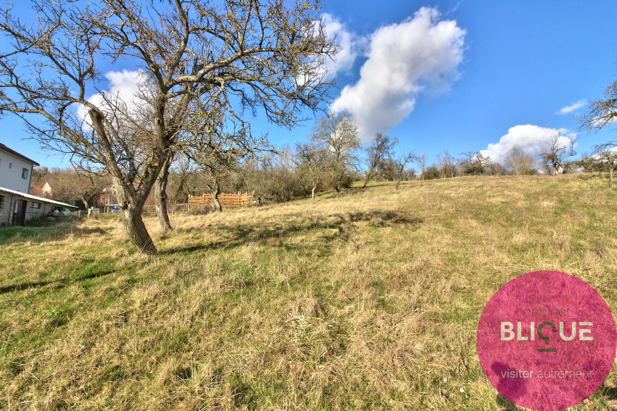 Vente Terrain à Bouxières-aux-Chênes 0 pièce