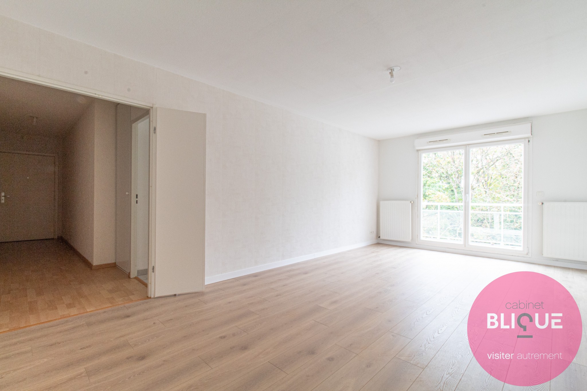 Vente Appartement à Nancy 3 pièces