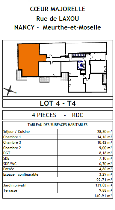 Vente Appartement à Nancy 4 pièces