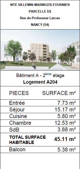 Vente Appartement à Nancy 2 pièces