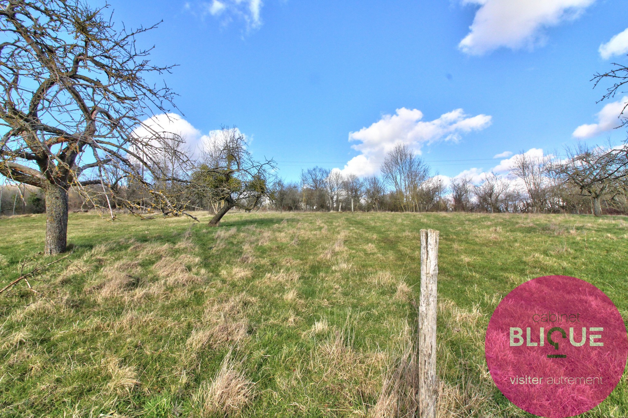 Vente Terrain à Bouxières-aux-Chênes 0 pièce