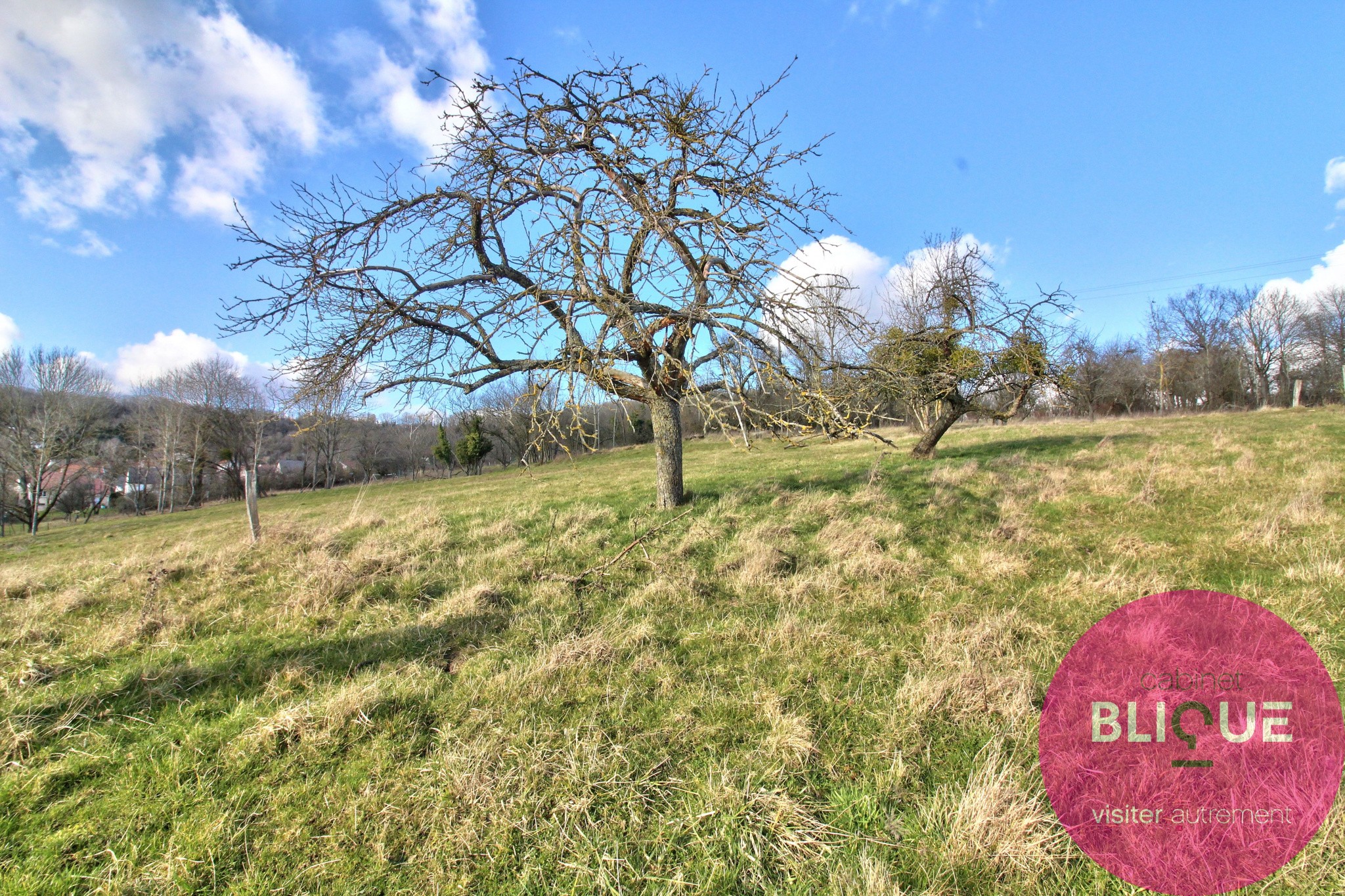 Vente Terrain à Bouxières-aux-Chênes 0 pièce