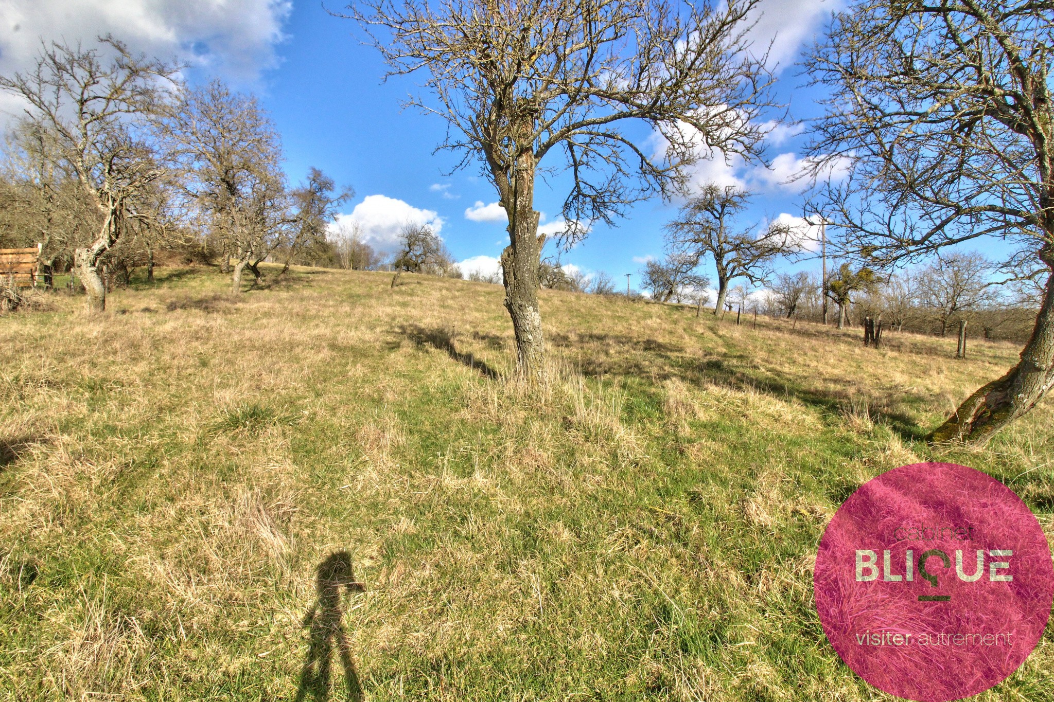 Vente Terrain à Bouxières-aux-Chênes 0 pièce