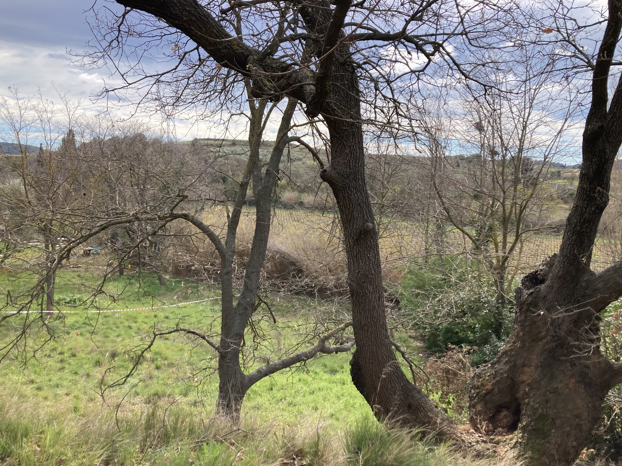 Vente Terrain à Puilacher 0 pièce