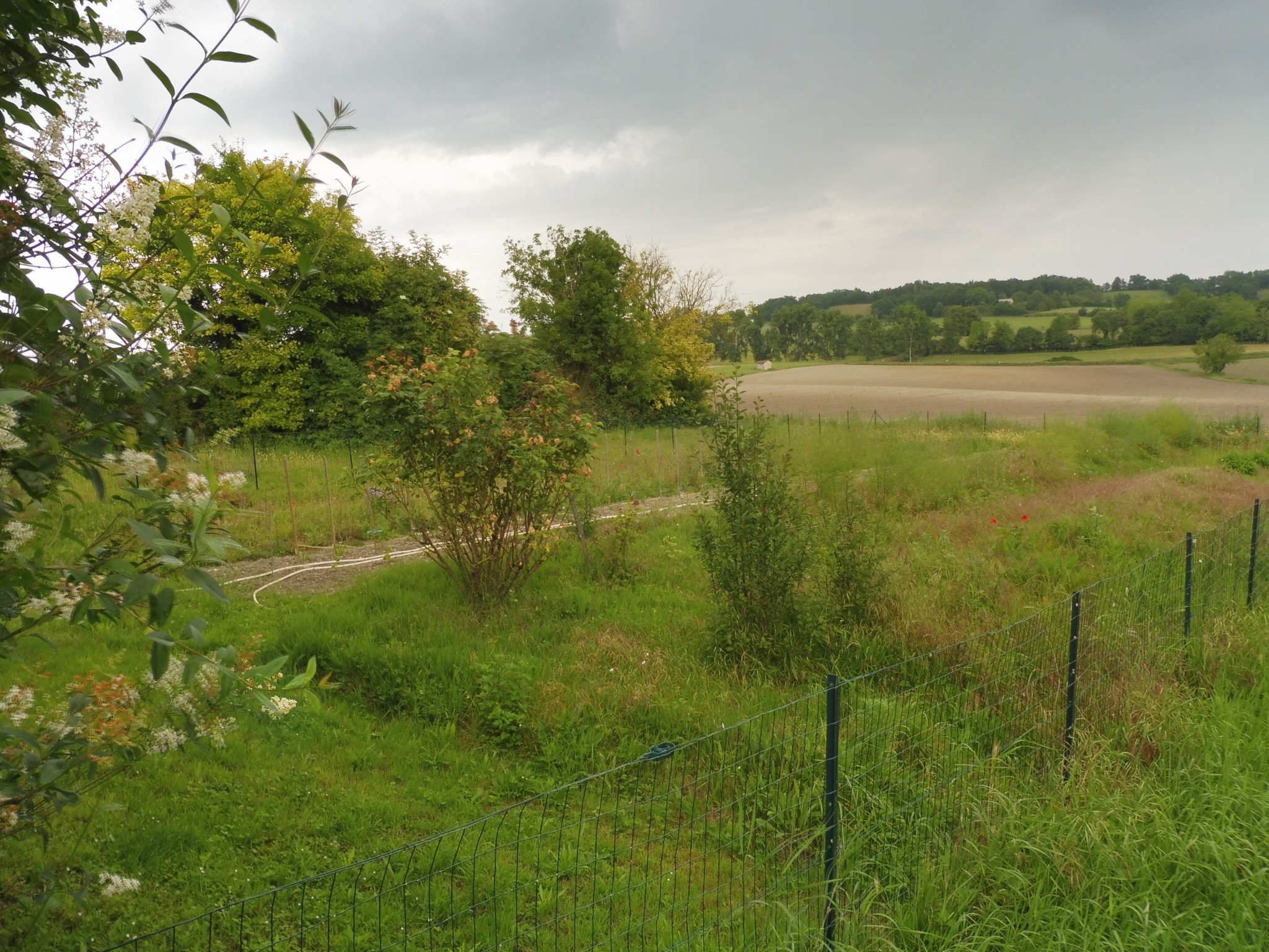 Vente Maison à Aubeterre-sur-Dronne 7 pièces