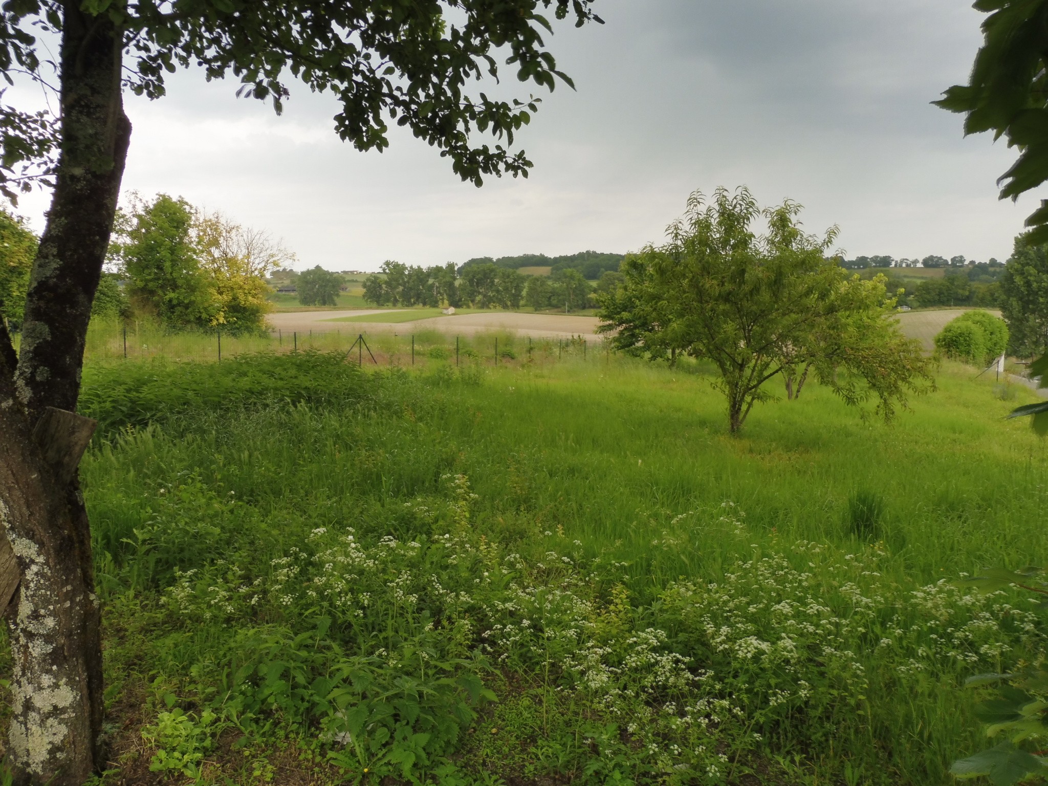 Vente Maison à Aubeterre-sur-Dronne 7 pièces