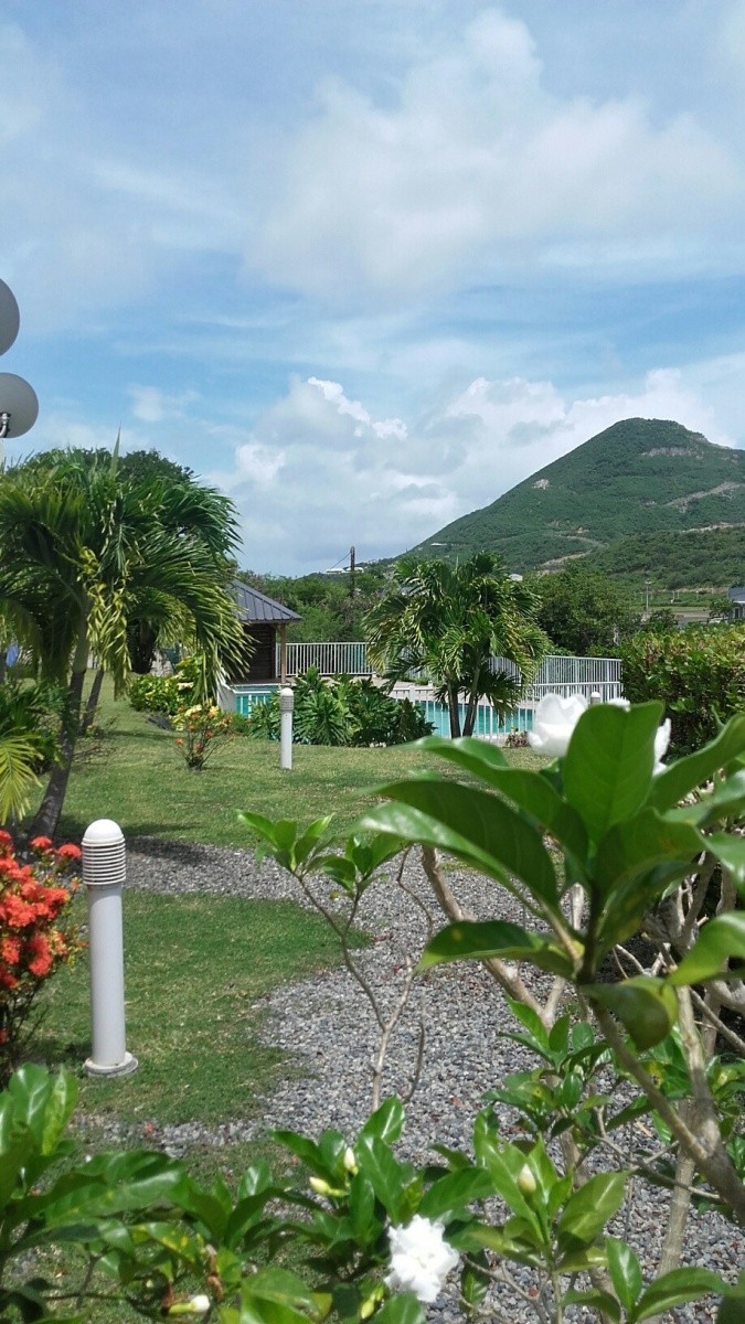 Vente Appartement à Saint-Martin 2 pièces