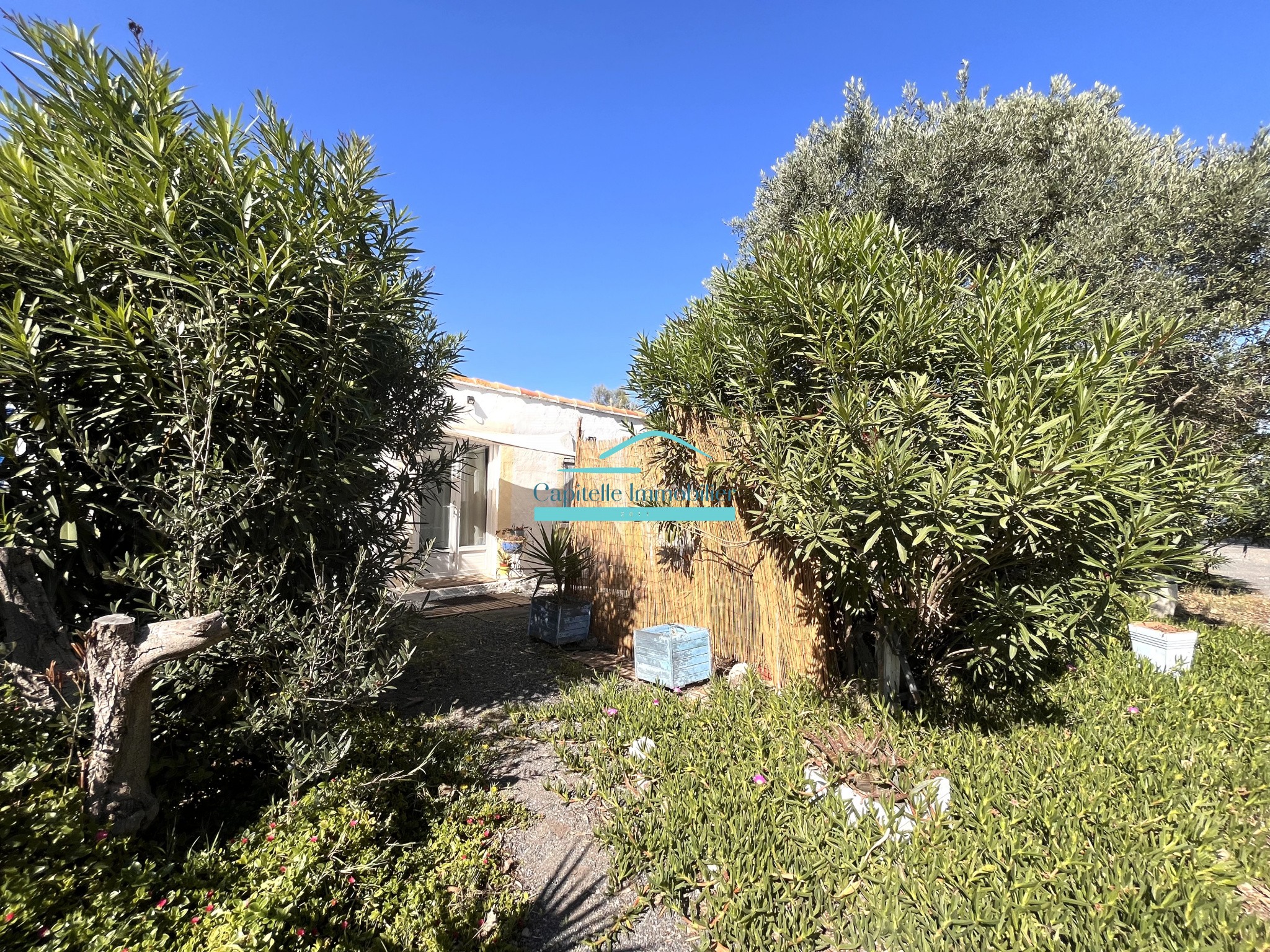 Vente Maison à Marseillan 20 pièces