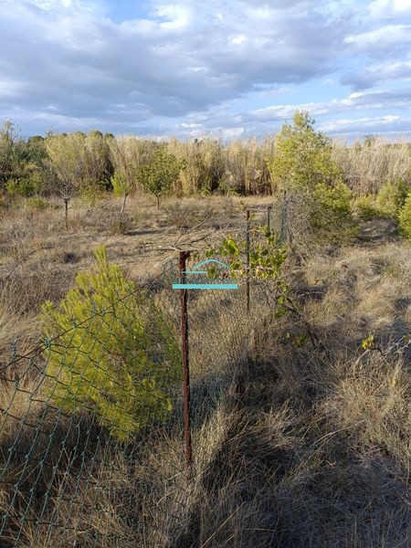 Vente Terrain à Mèze 0 pièce