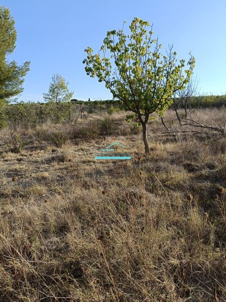 Vente Terrain à Mèze 0 pièce