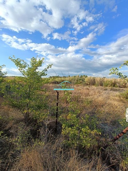 Vente Terrain à Mèze 0 pièce