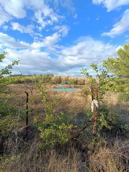 Vente Terrain à Mèze 0 pièce