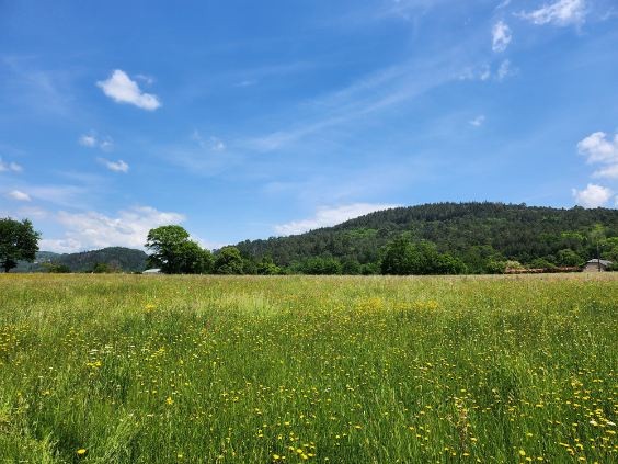 Vente Terrain à Aubazines 0 pièce