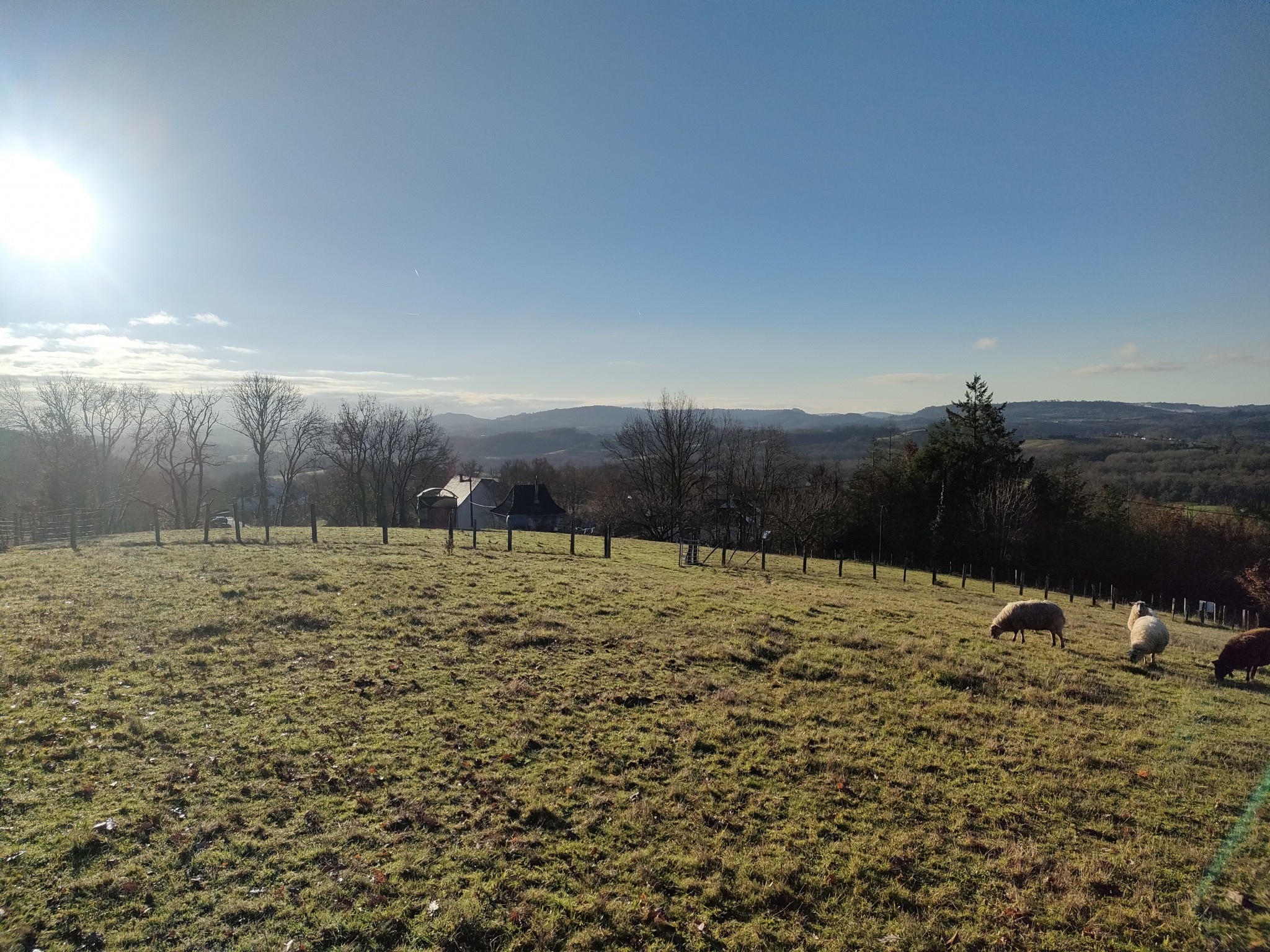 Vente Terrain à Juillac 0 pièce