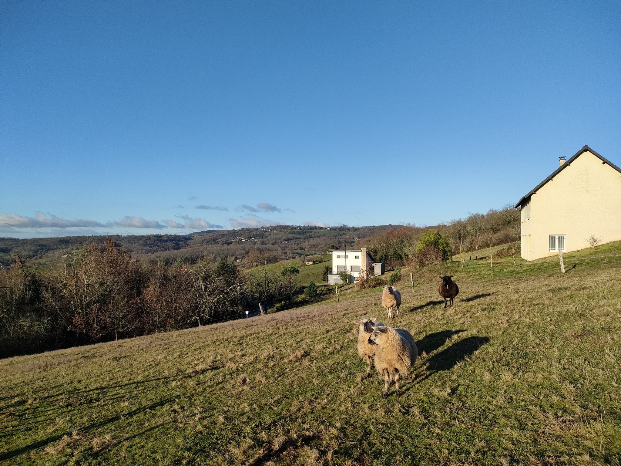 Vente Terrain à Juillac 0 pièce