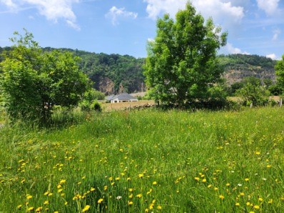 Vente Terrain à Aubazines 0 pièce