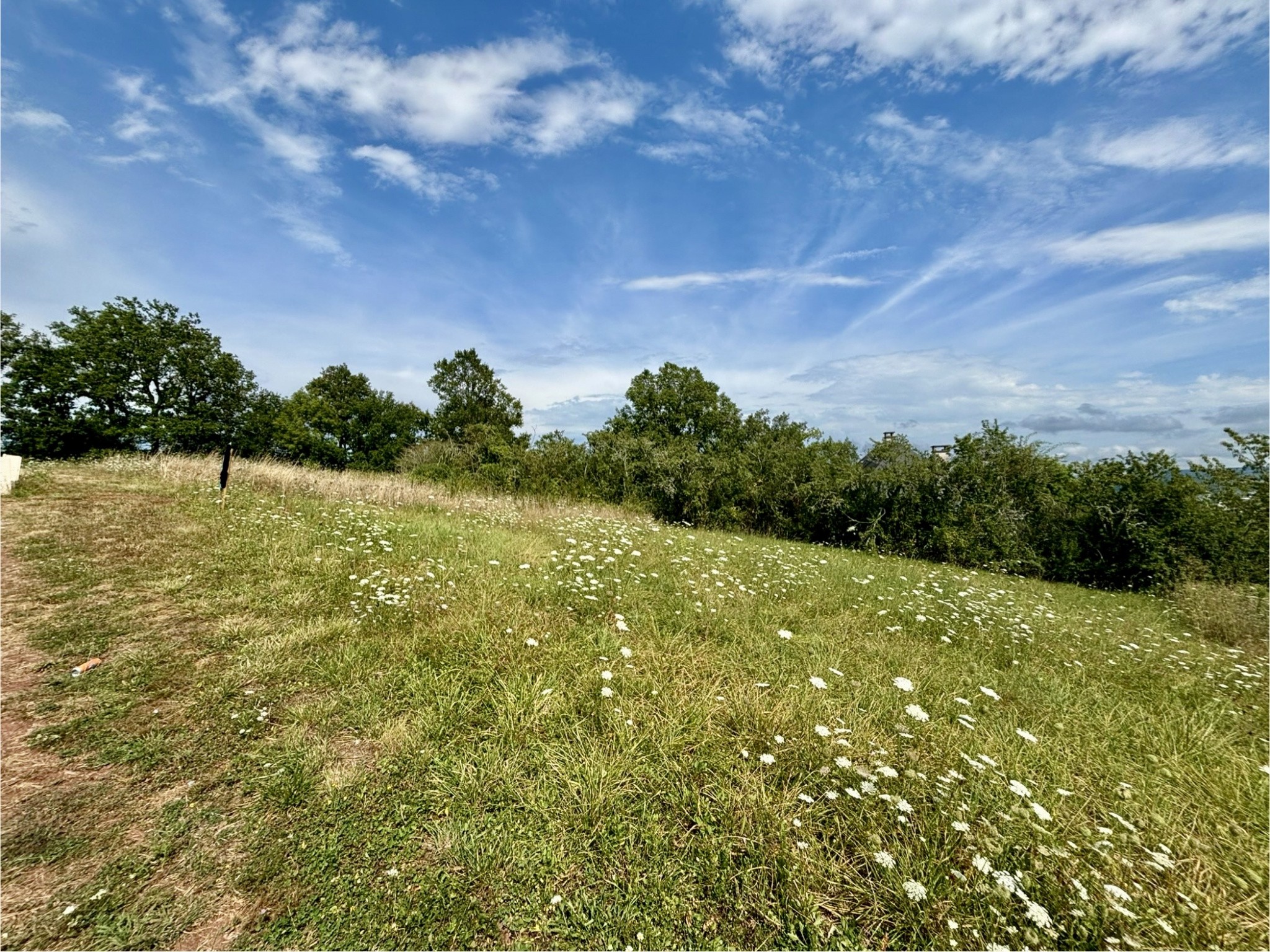 Vente Terrain à Brive-la-Gaillarde 0 pièce