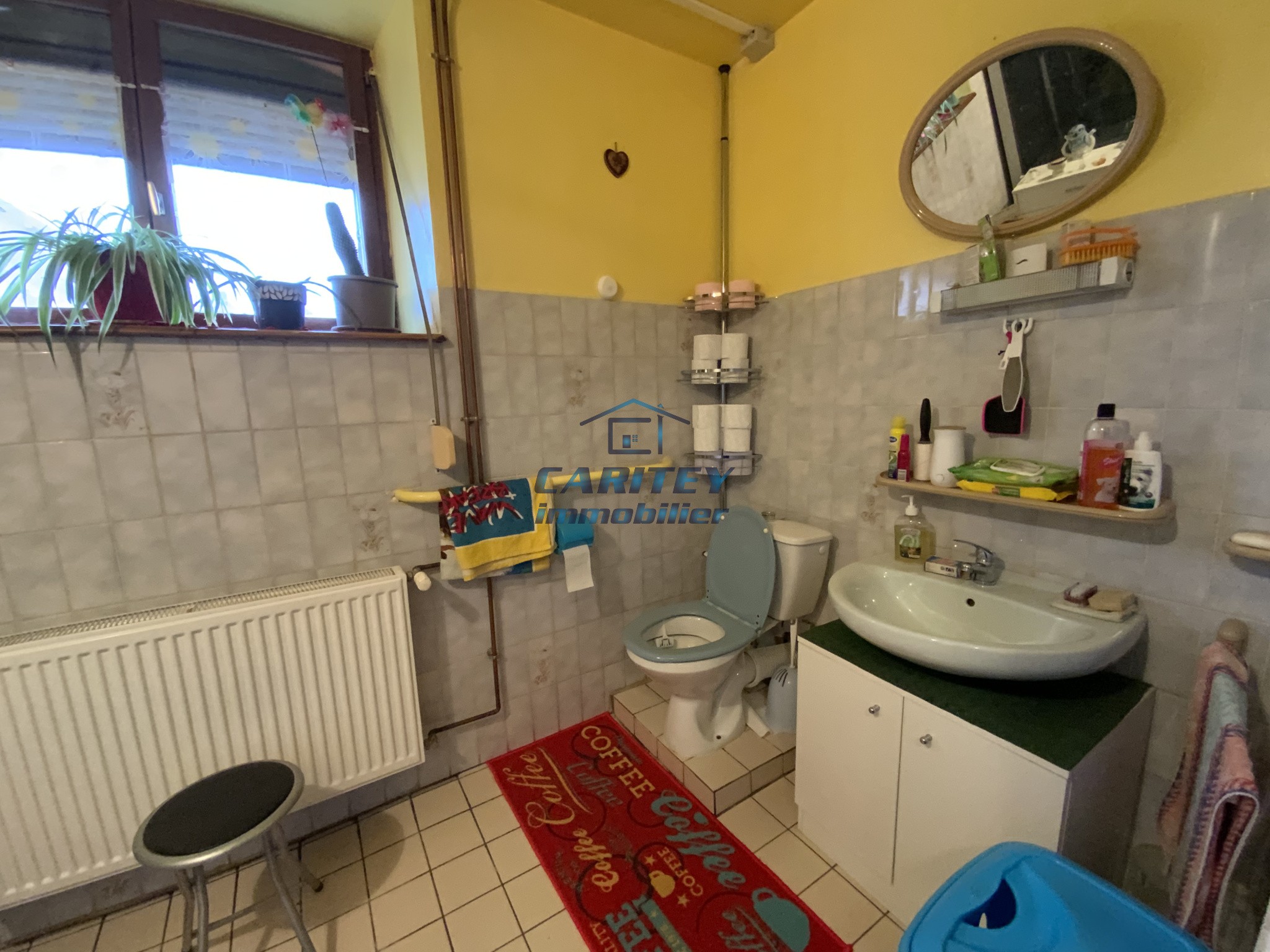 Vente Maison à Mélisey 4 pièces