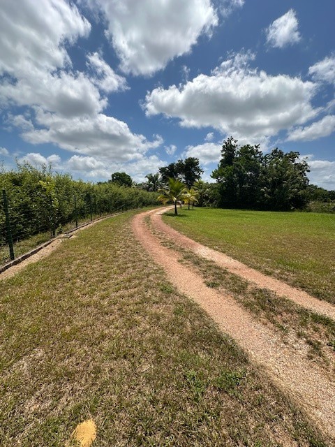 Vente Maison à Kourou 6 pièces