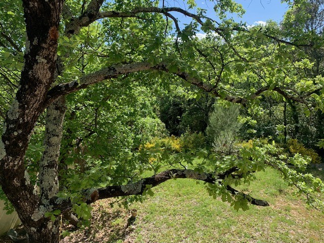 Vente Maison à Uzès 4 pièces