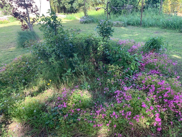 Vente Maison à Uzès 10 pièces