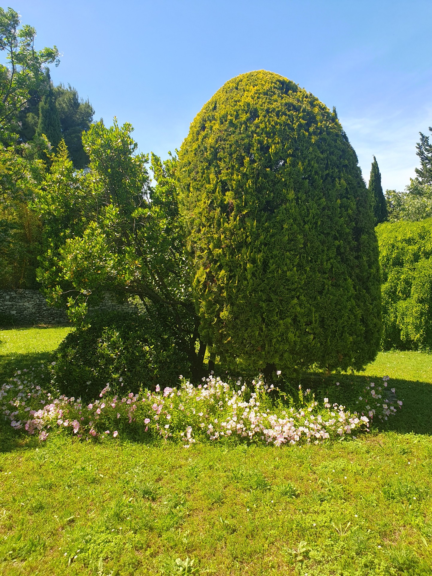 Vente Maison à Uzès 4 pièces