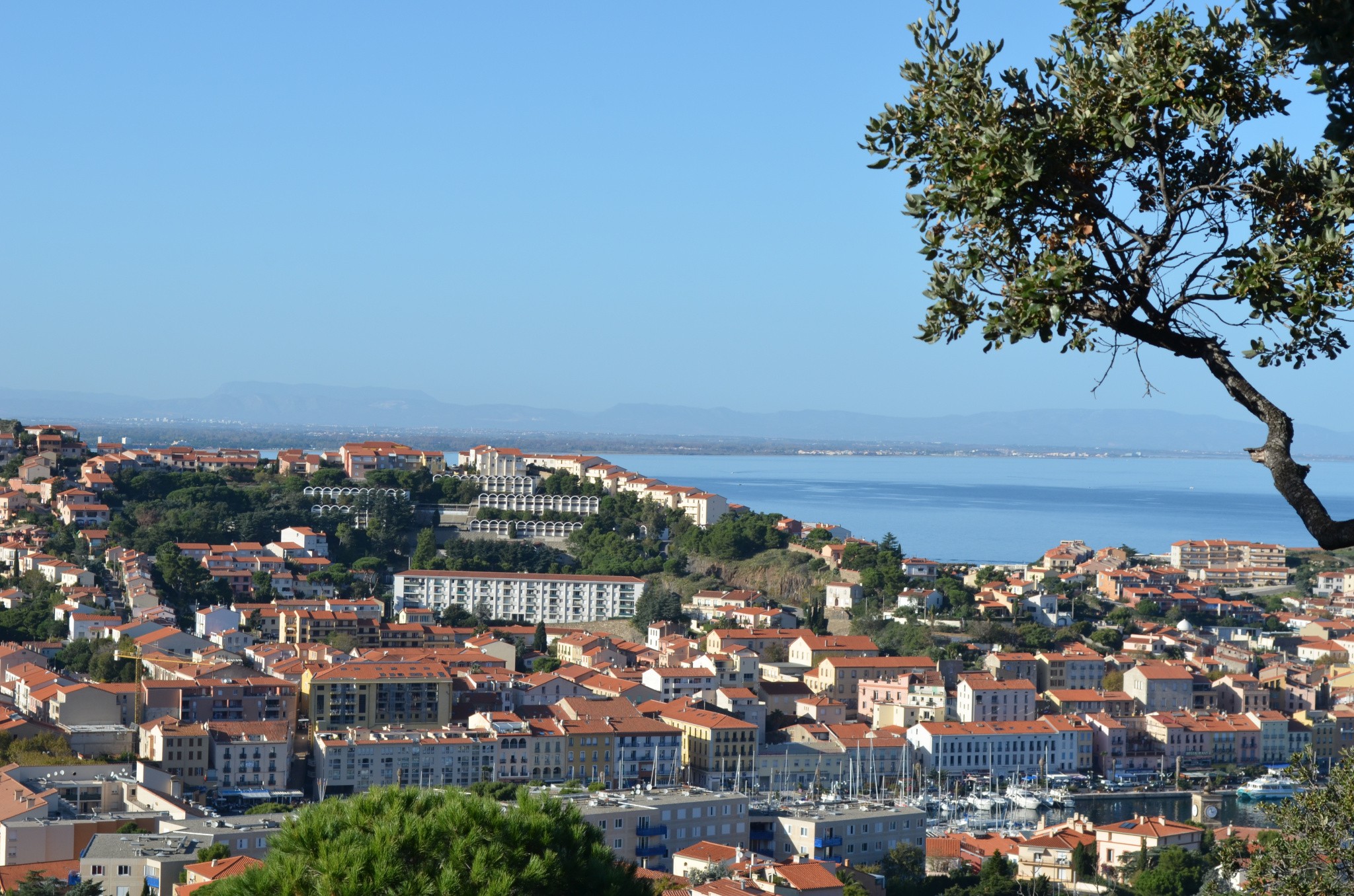 Vente Appartement à Port-Vendres 4 pièces