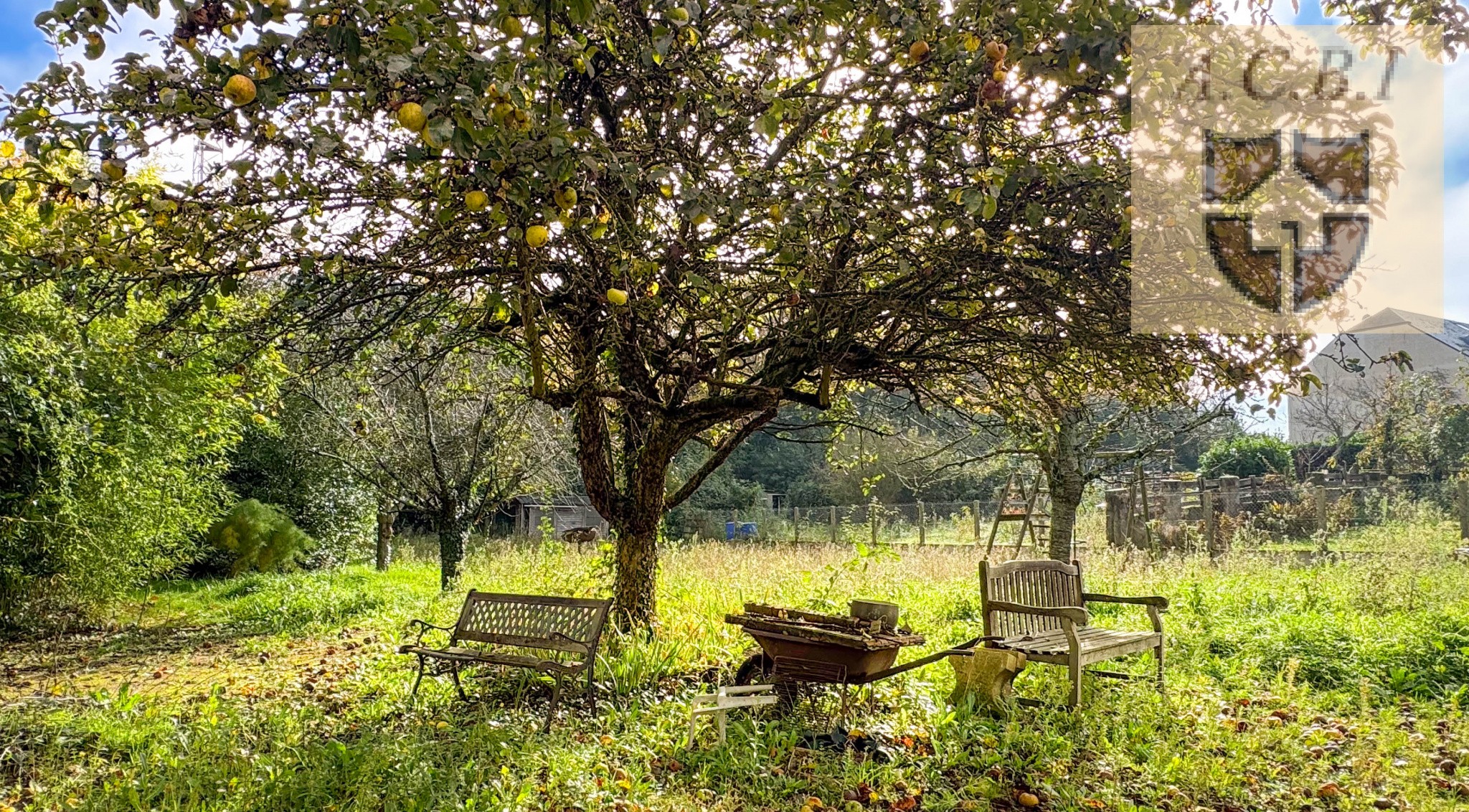 Vente Maison à Lucé 6 pièces